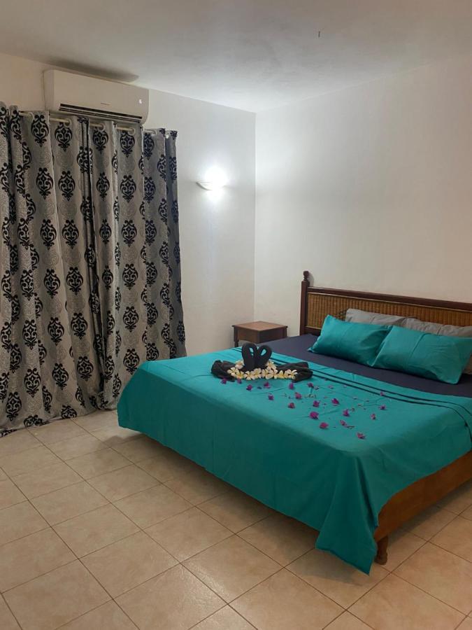 Viksh Seaview Apartment 拉高莱特 外观 照片