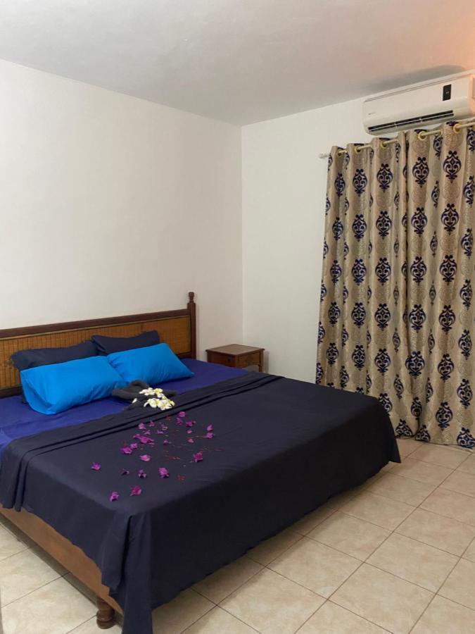 Viksh Seaview Apartment 拉高莱特 外观 照片